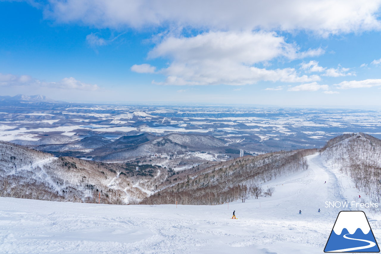 十勝サホロリゾート｜道東の粉雪はレベルが違う☆抵抗感皆無のさらさらパウダースノーへ滑り込め！(*^^*)